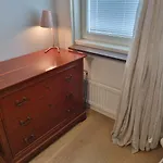 Doktor Forselius Gata 16, The Pink Room