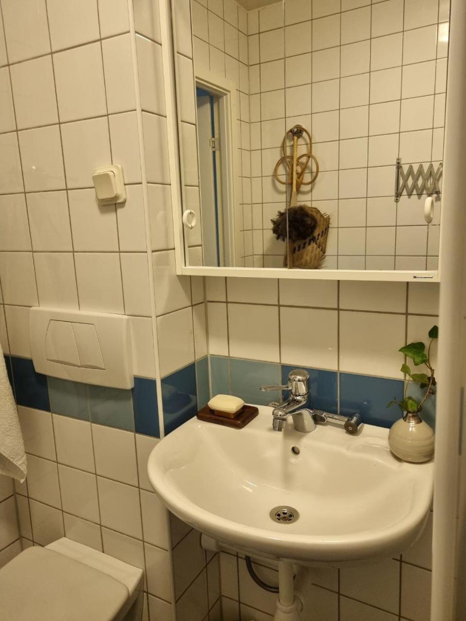 Doktor Forselius Gata 16, The Pink Bed & Breakfast Göteborg